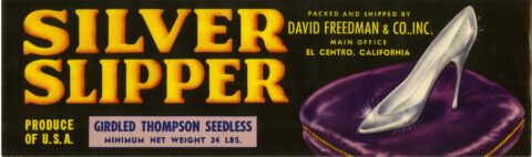 Silver Slipper